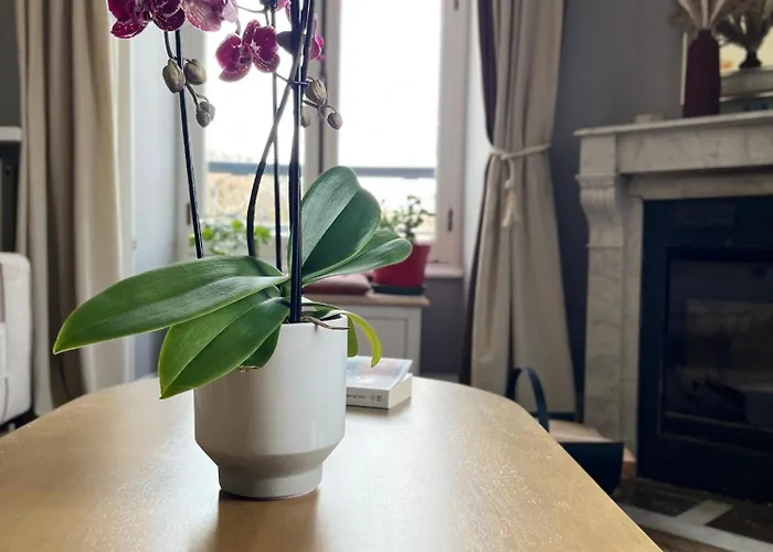 La Maison Normande 3*